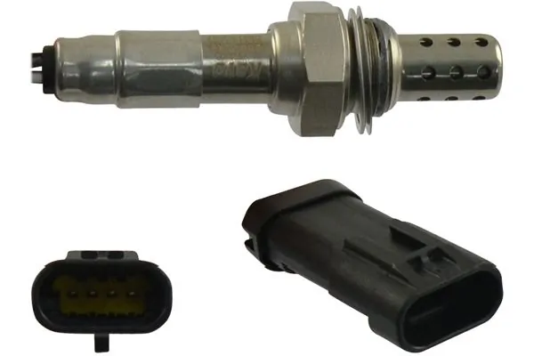 Oxygen Sensor